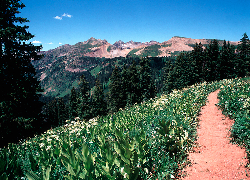 La Plata Mountains, Kennebeck Pass, Colorado