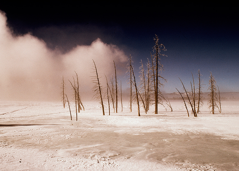 Winter, Lower Geyser Basin, Yellowstone