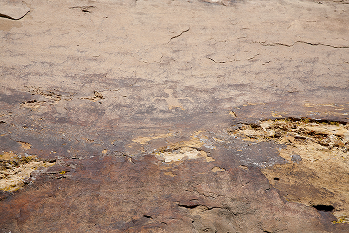Carrizo Canyon 107