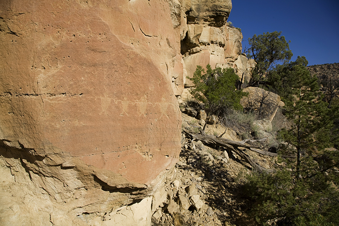 Carrizo Canyon 11