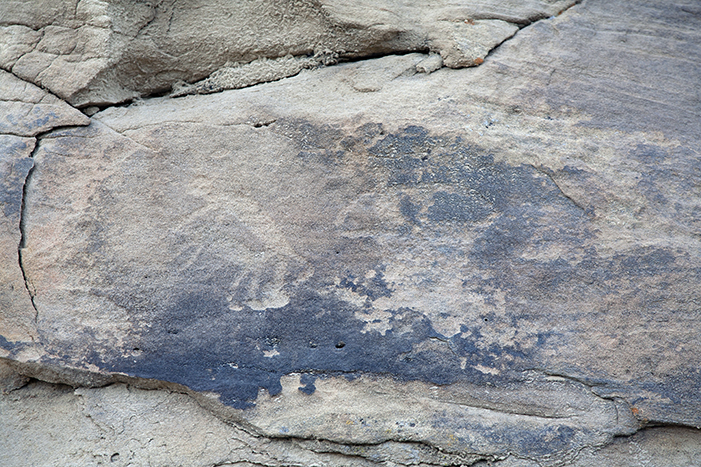 Carrizo Canyon 19