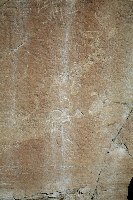 Cibolo Canyon 2834