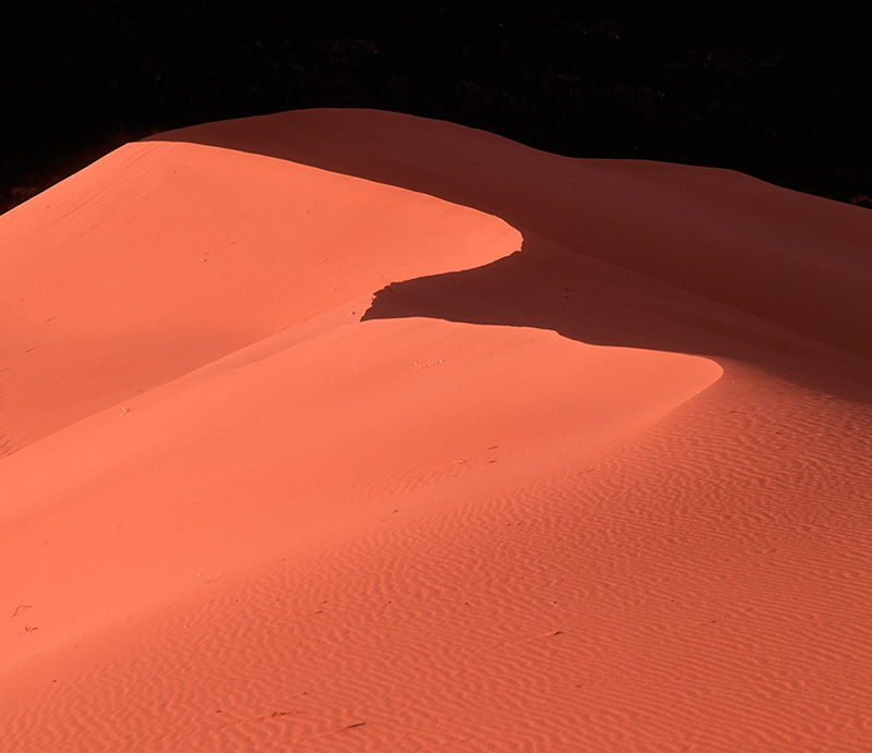 Coral Pink Sand Dunes Utah