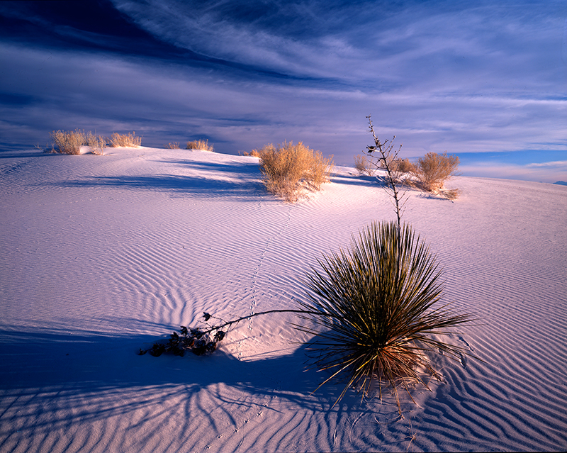 White Sands 003