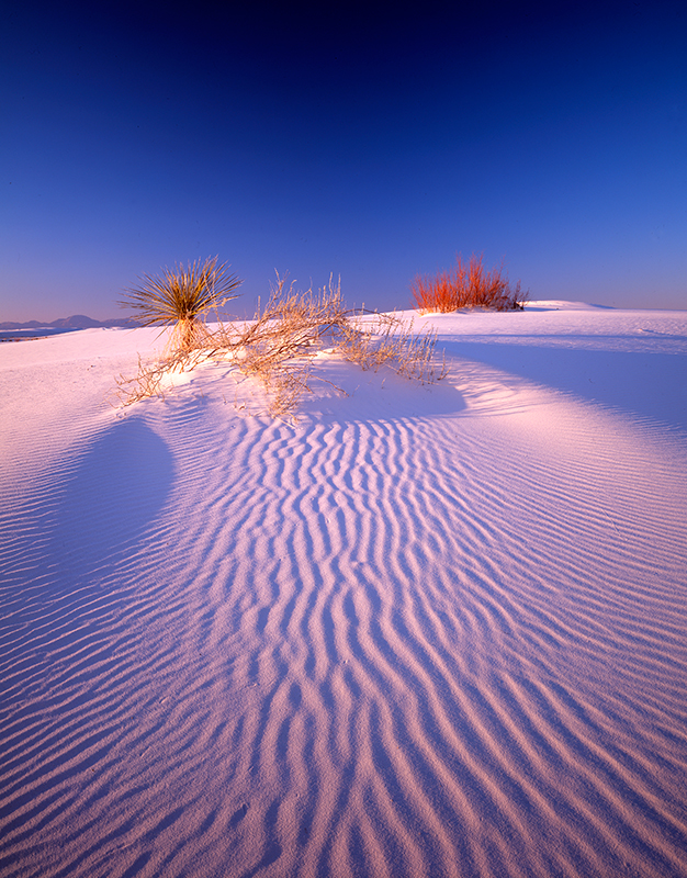 White Sands New Mexico 09