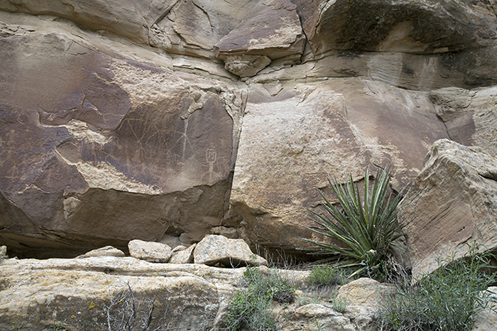 Encierro Canyon 0528