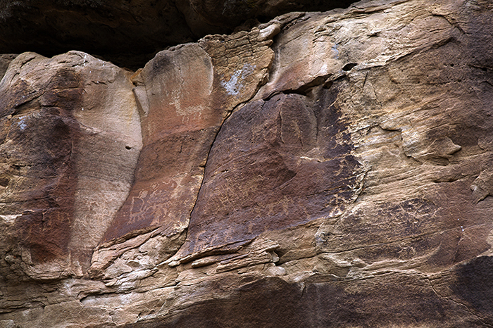 Encierro Canyon 0529