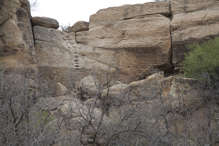 Encierro Canyon 0555