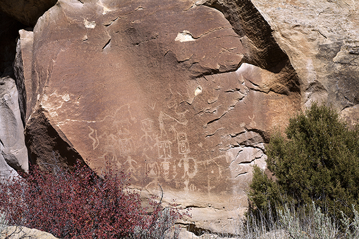 Encierro Canyon 030