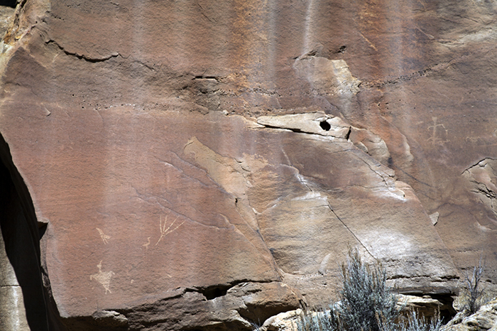 Encierro Canyon 087