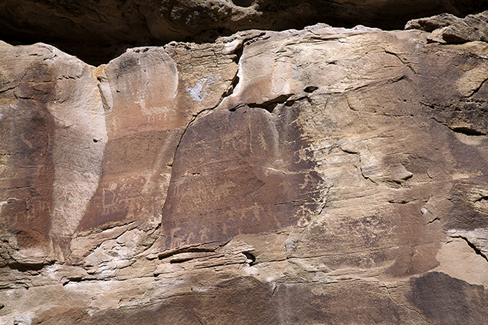 Encierro Canyon 147