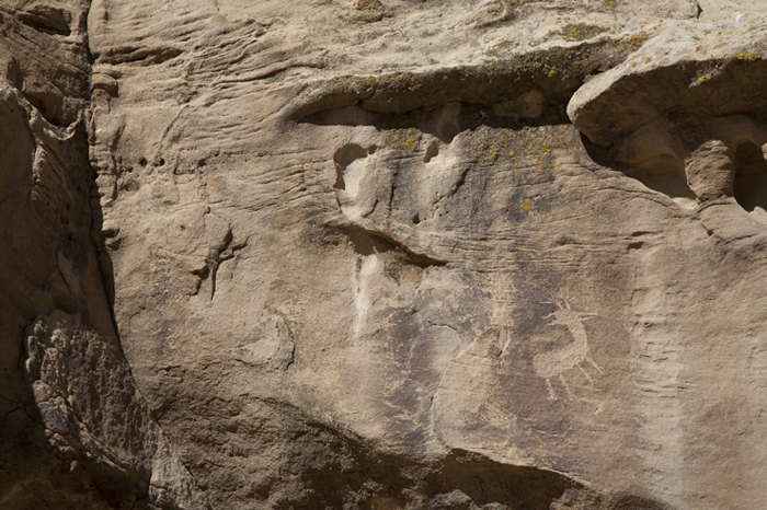 Encierro Canyon 150