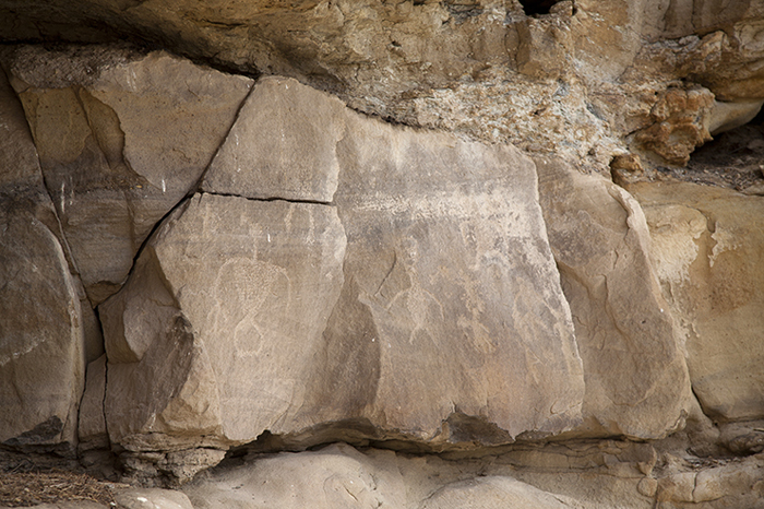 Encierro Canyon 240