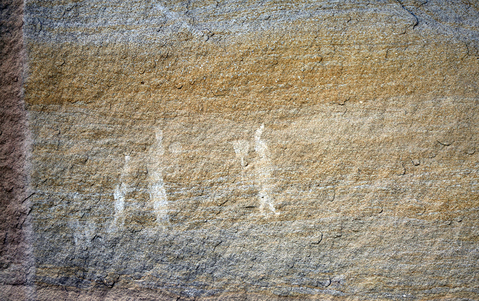 Escarbada Canyon Canyon 1569