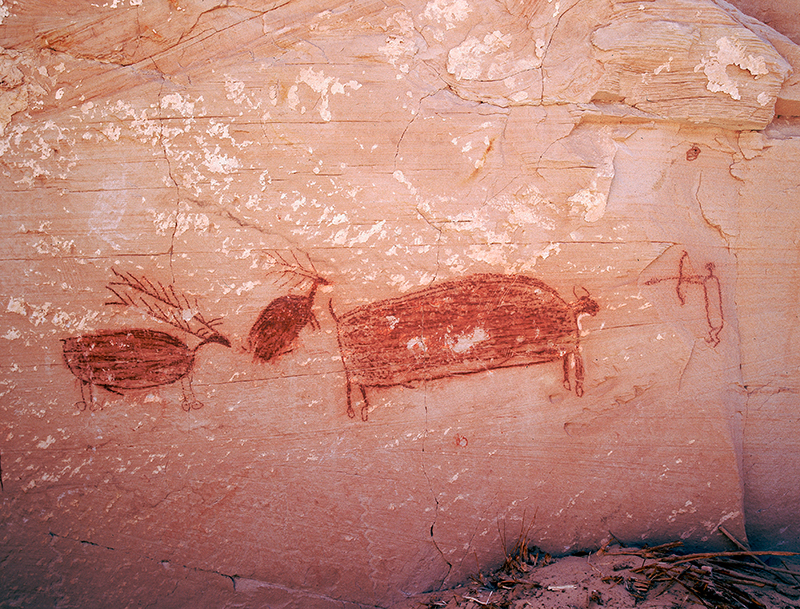 Horseshoe Rock Shelter, Utah