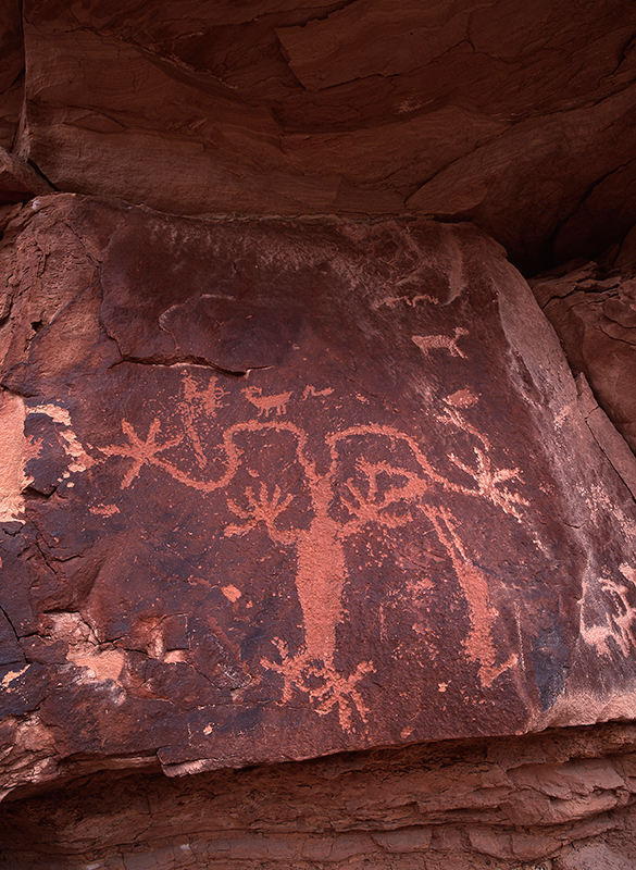 Nine Mile Canyon, Utah #6