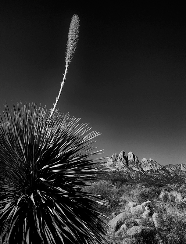 Sotel Organ Mountains