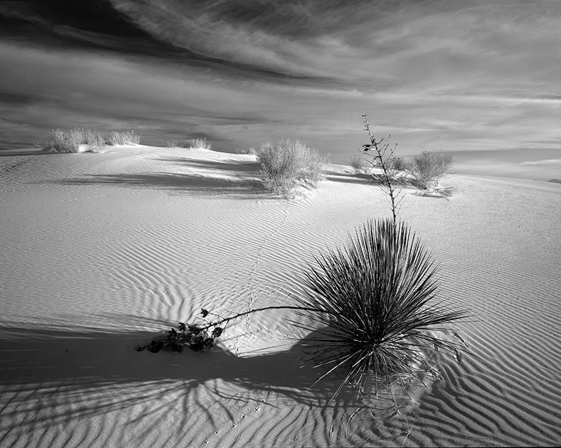 White Sands New Mexico