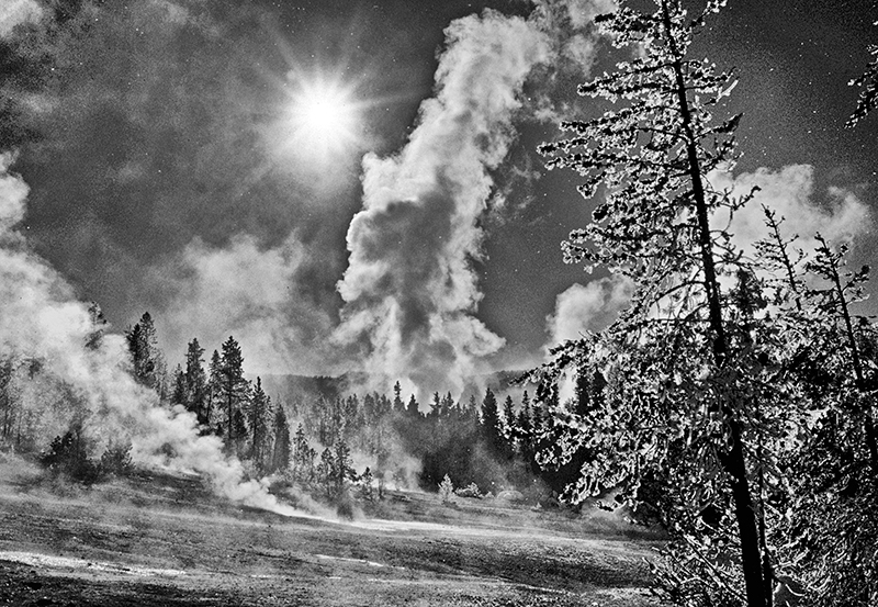 Winter, Norris Geyser Basin, Yellowstone