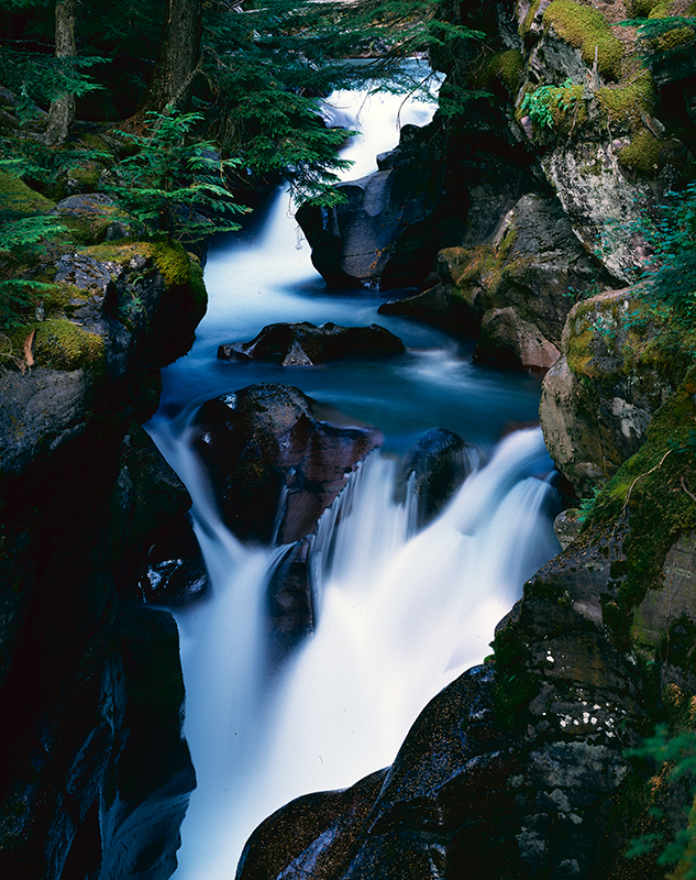 Avalanche Gorge, Glacier National Park