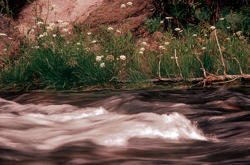 Gibbon River, Yellowstone