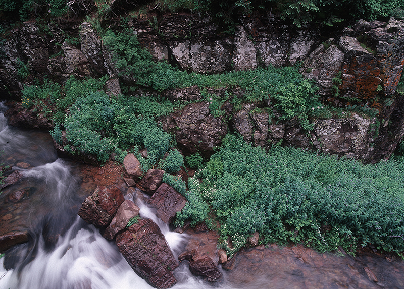 Mountain Stream, La Plata Mountains, Colorado