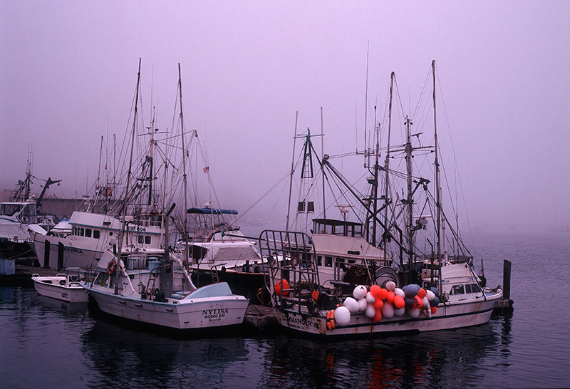 Marina, Morro Bay, California