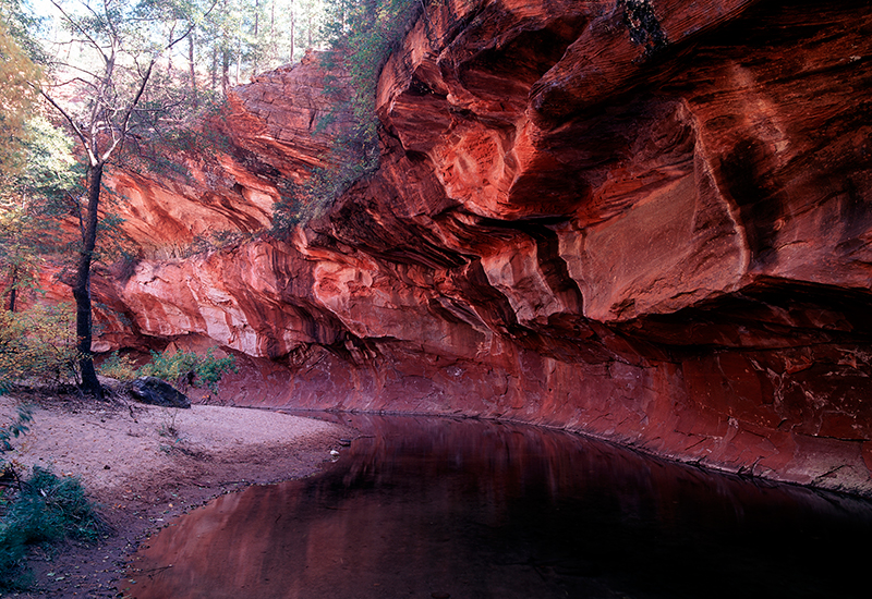 Oak Creek Canyon, Sedona, Arizona