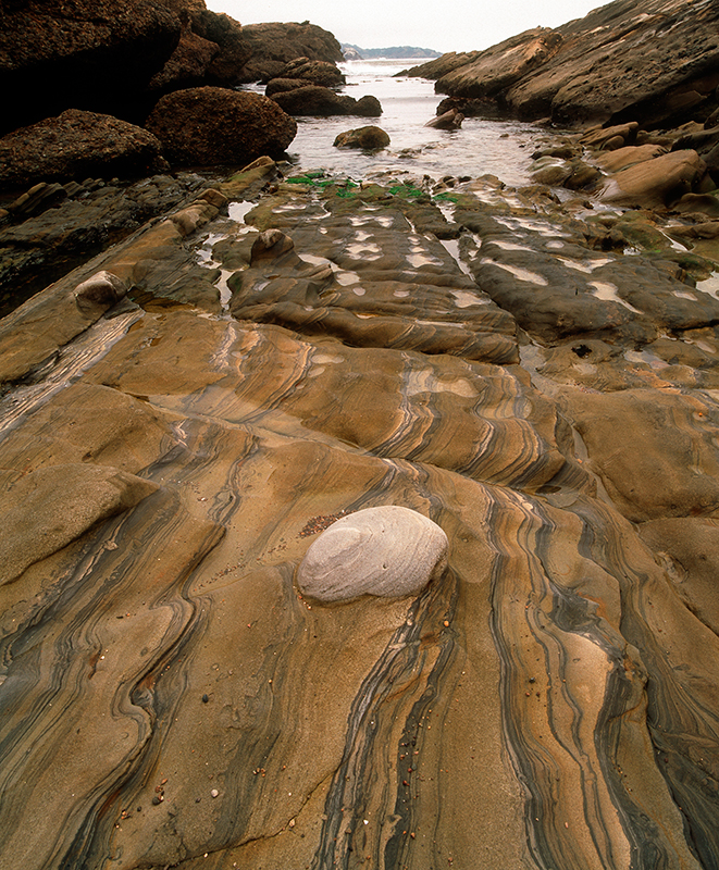 Point Lobos, California #2