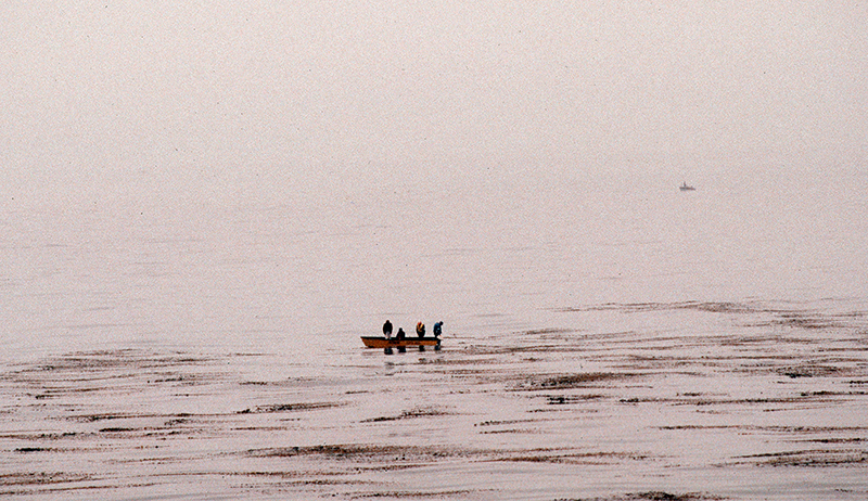 Fisherman, Santa Cruz, California