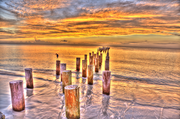 Third Avenue Pilings 0039