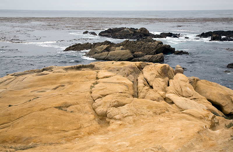 Point Lobos, California #1
