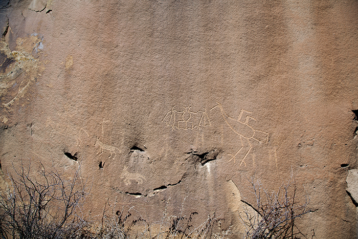 Hummingbird Canyon 020