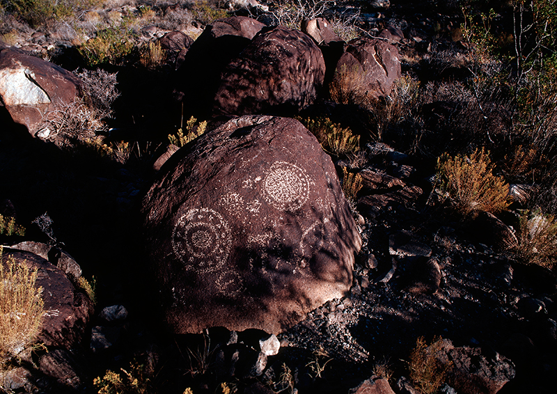 Three Rivers Petroglyph Site, New Mexico #6