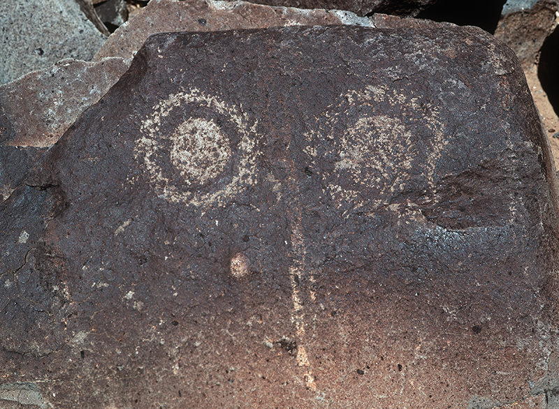 Three Rivers Petroglyph Site, New Mexico #9