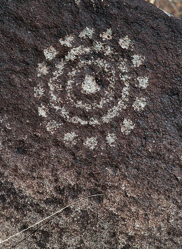 Three Rivers Petroglyph Site, New Mexico #10