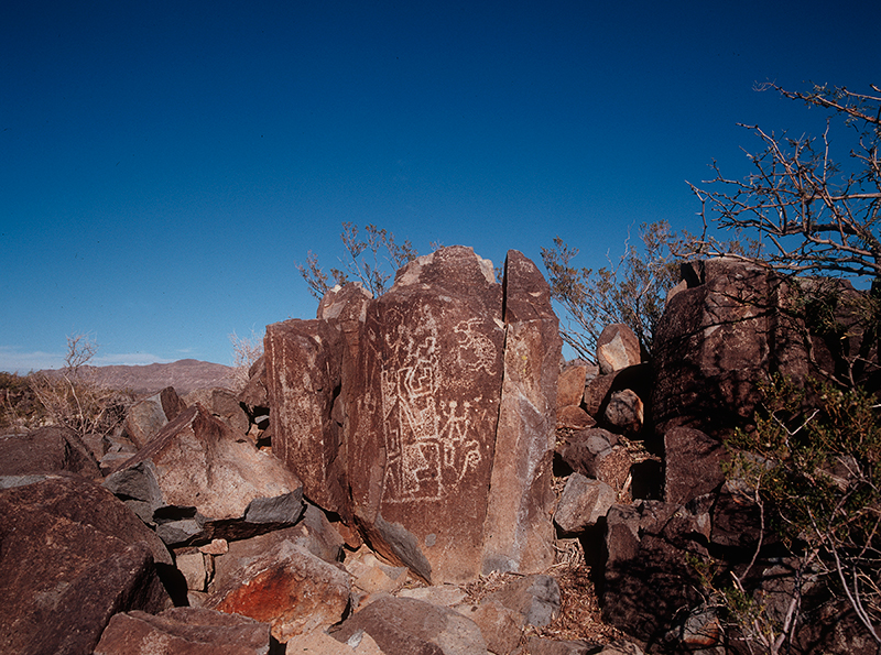 Three Rivers Petroglyph Site, New Mexico #12