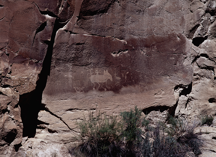 Salado Canyon 033