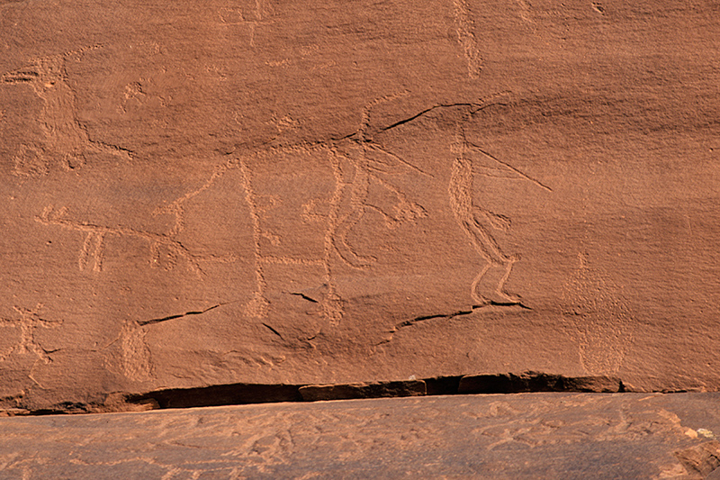 Upper Sand Island, Utah #4