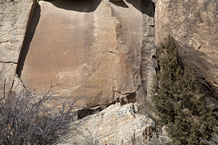 San Rafael Canyon 1264