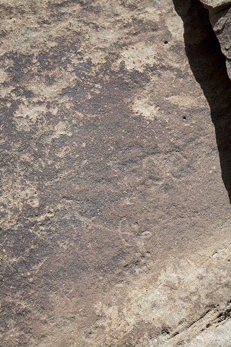 San Rafael Canyon 1291